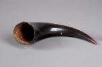 Animal Horn (425)